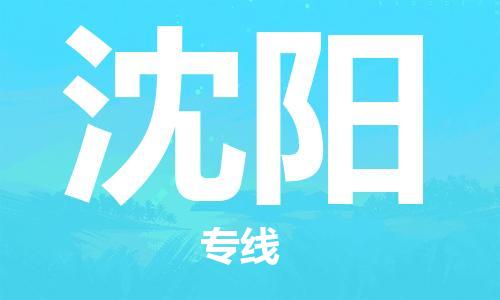 临沂（LYI）机场到沈阳航空货运_临沂至沈阳空运（跨省市当日达）