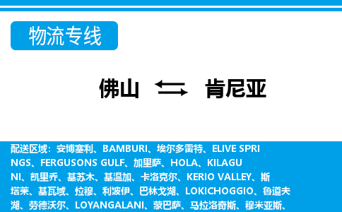 佛山到肯尼亚物流专线-佛山至肯尼亚货运公司-COD小包跨境物流