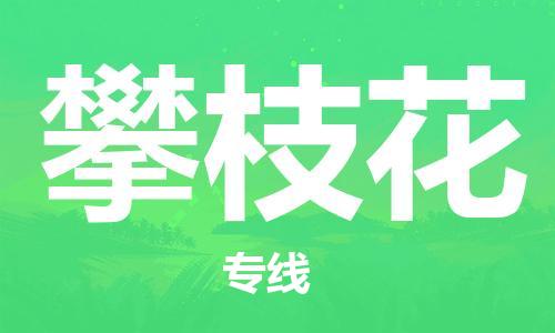 上海到攀枝花空运_上海至攀枝花航空货运_上海飞攀枝花当日达